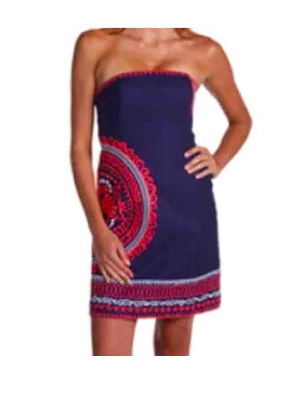 Lilly Pulitzer Navy Embroidered Shift Dress Coral White Cotton Size 8 - Picture 1 of 8
